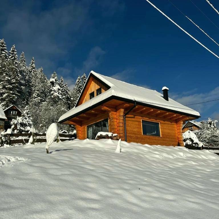 MamChwilkeHome - Housity