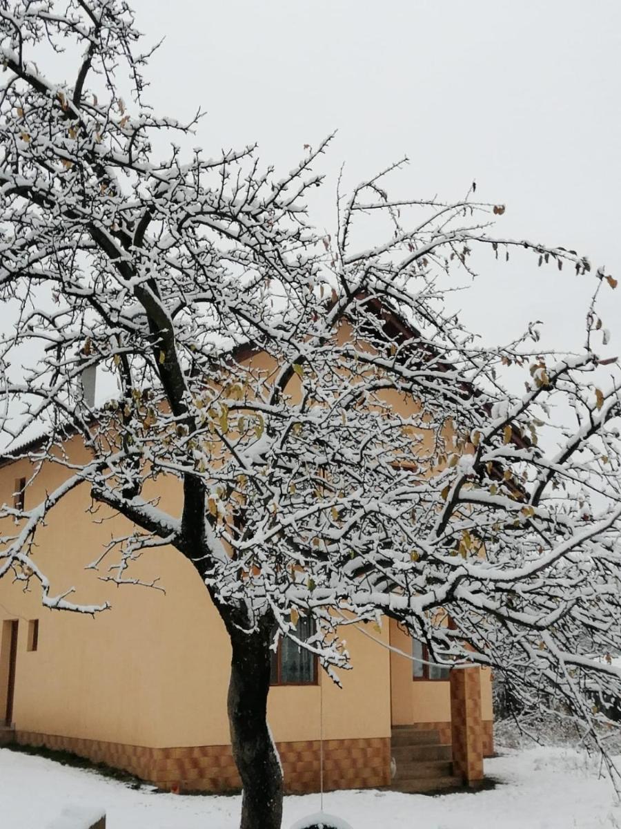Pensiunea Aryana - Housity