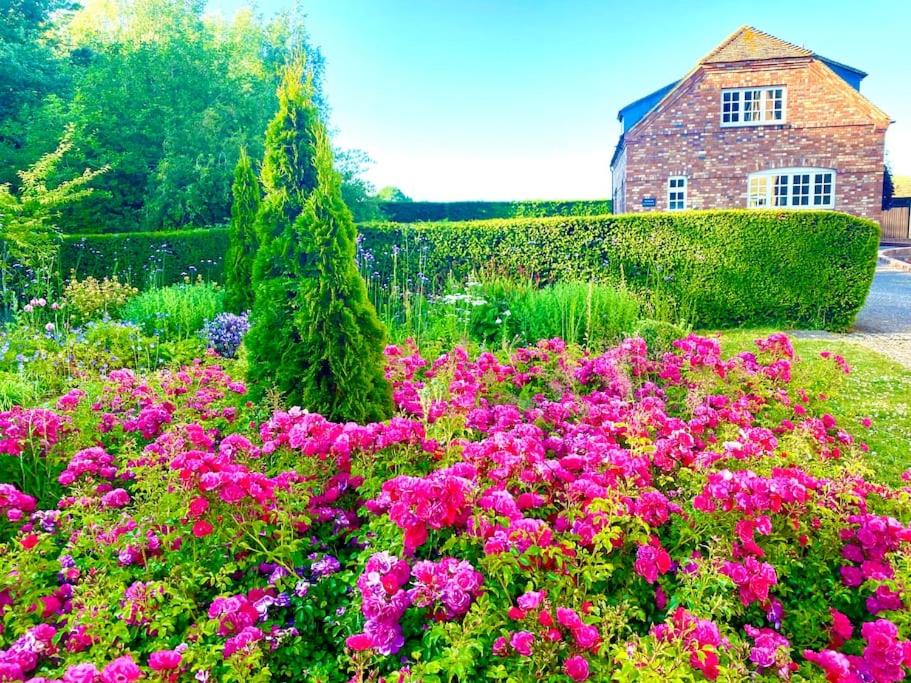 Idyllic Country Retreat with Gorgeous Views, Large Detached Cottage - Housity