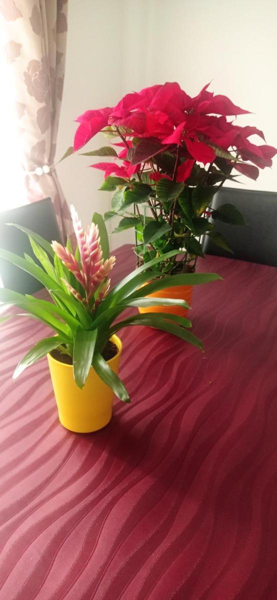 Sliema beach - Housity