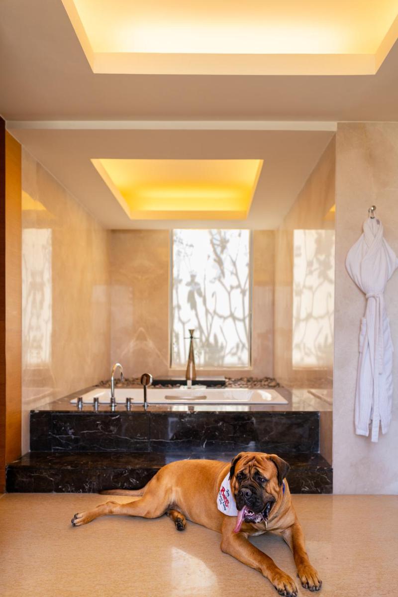 a dog laying on the floor in a bathroom at Hyatt Hyderabad Gachibowli in Hyderabad