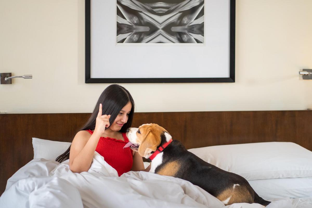 a woman is laying in bed with a dog at Hyatt Hyderabad Gachibowli in Hyderabad