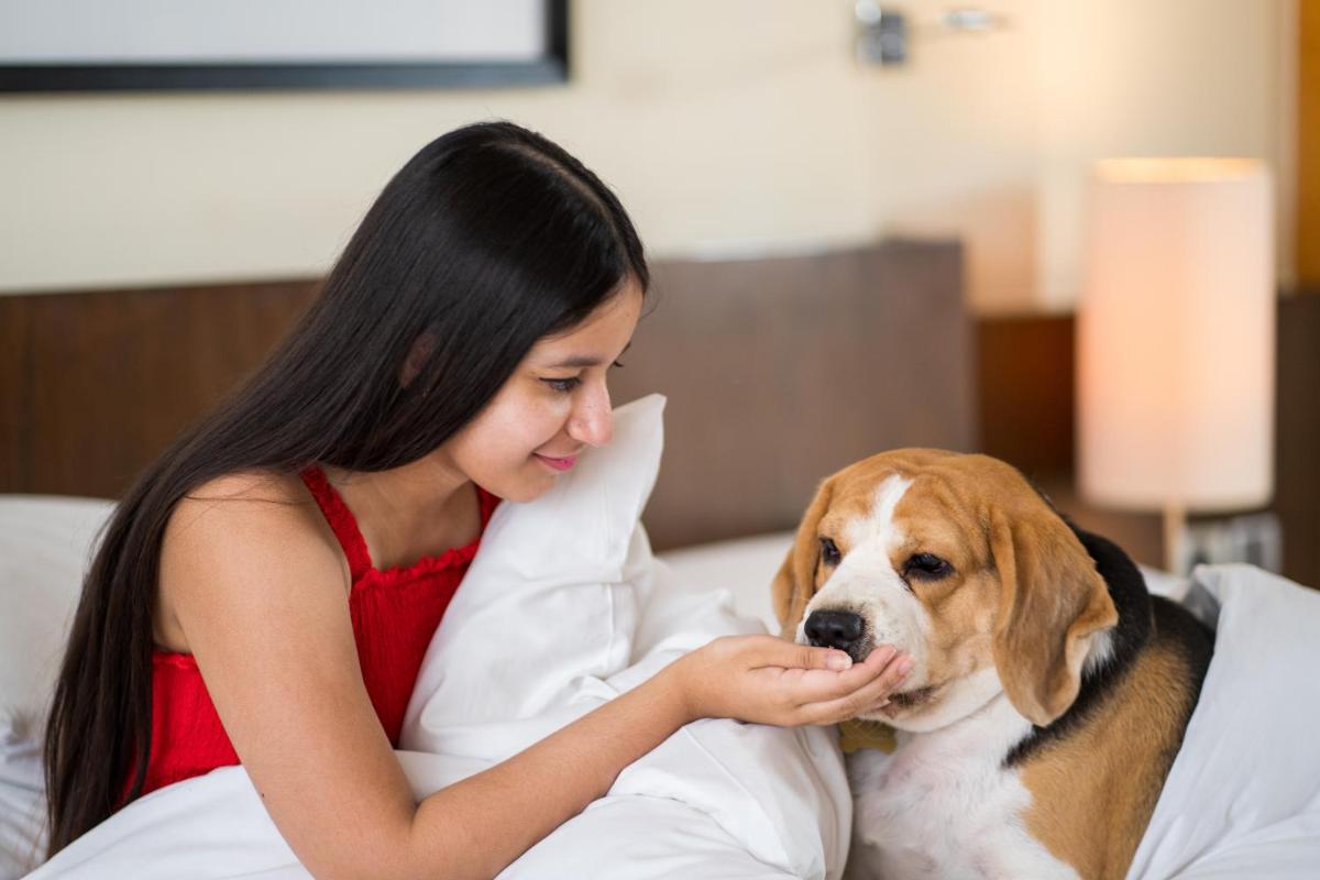 a woman laying in bed petting a dog at Hyatt Hyderabad Gachibowli in Hyderabad