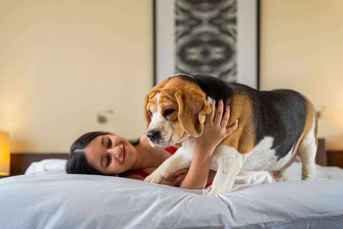 a woman laying on a bed with a dog at Hyatt Hyderabad Gachibowli in Hyderabad