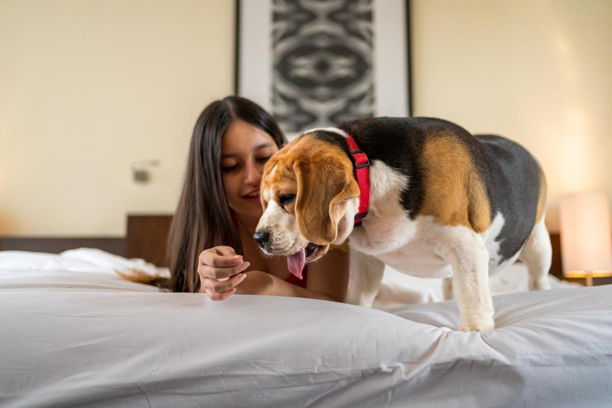 a woman and a dog standing on a bed at Hyatt Hyderabad Gachibowli in Hyderabad