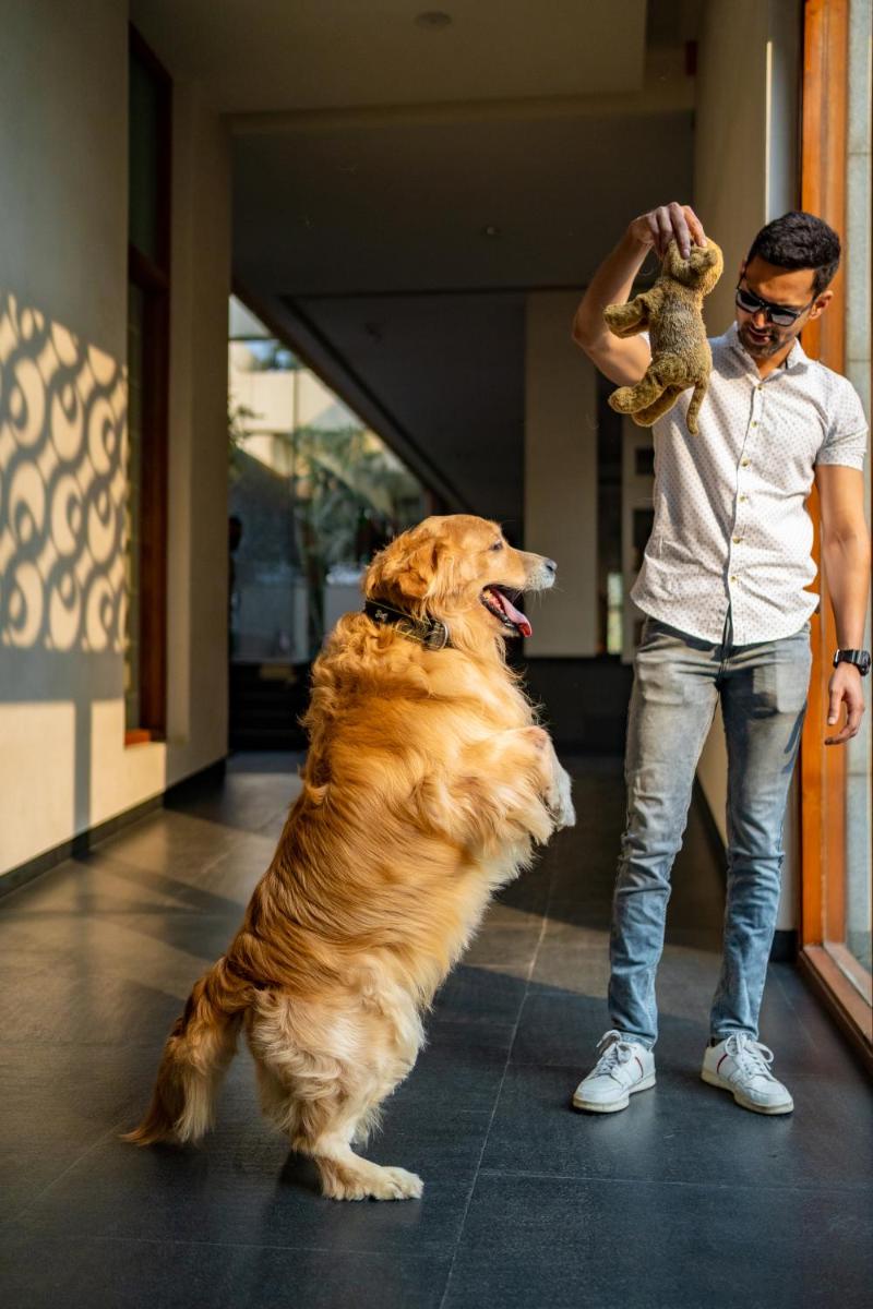 a man holding a teddy bear next to a dog at Hyatt Hyderabad Gachibowli in Hyderabad
