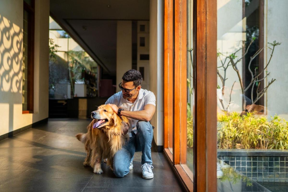 a man sitting on the floor with a dog at Hyatt Hyderabad Gachibowli in Hyderabad