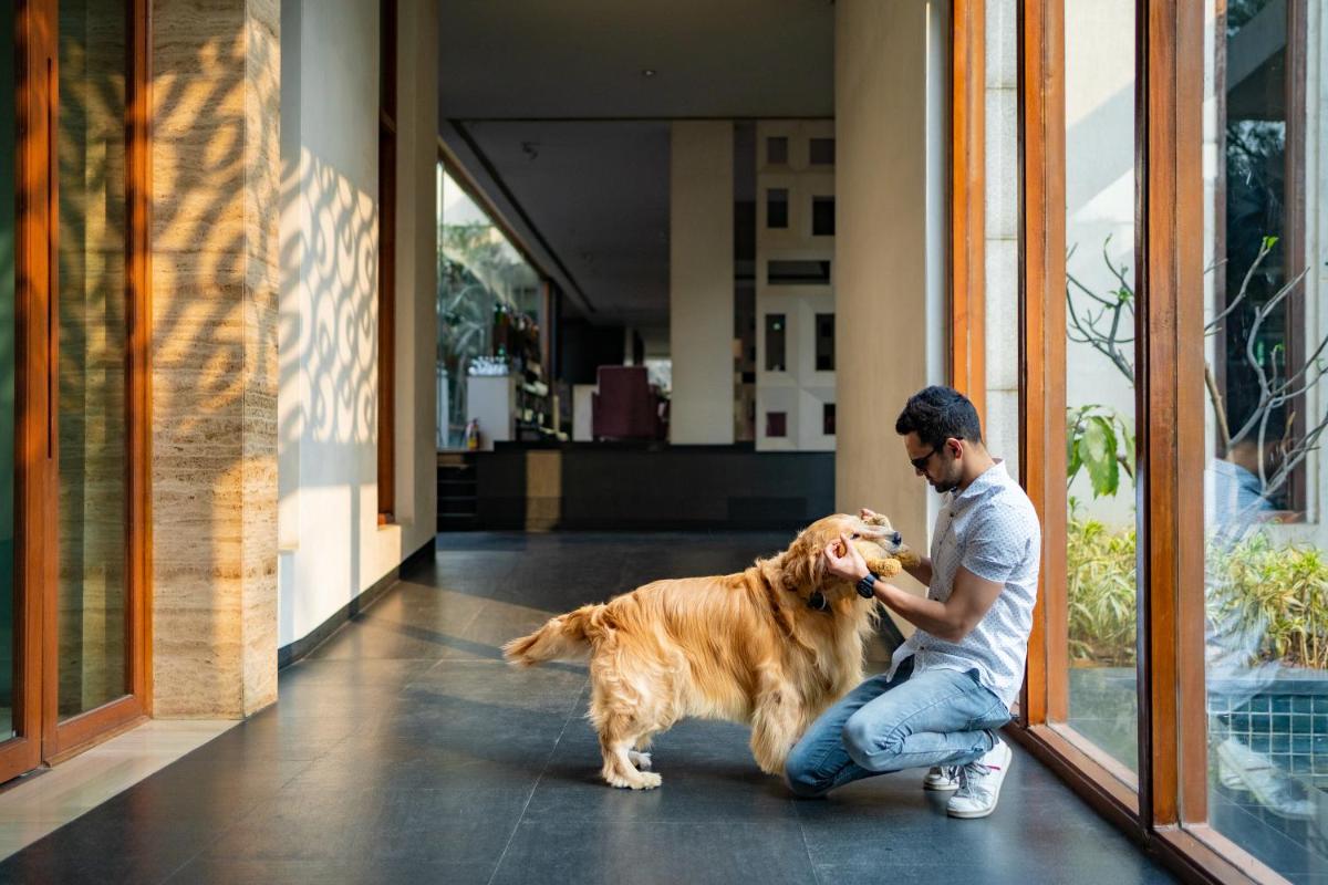 a man sitting on the floor with a dog at Hyatt Hyderabad Gachibowli in Hyderabad