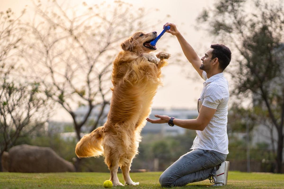 a man feeding a dog a frisbee at Hyatt Hyderabad Gachibowli in Hyderabad