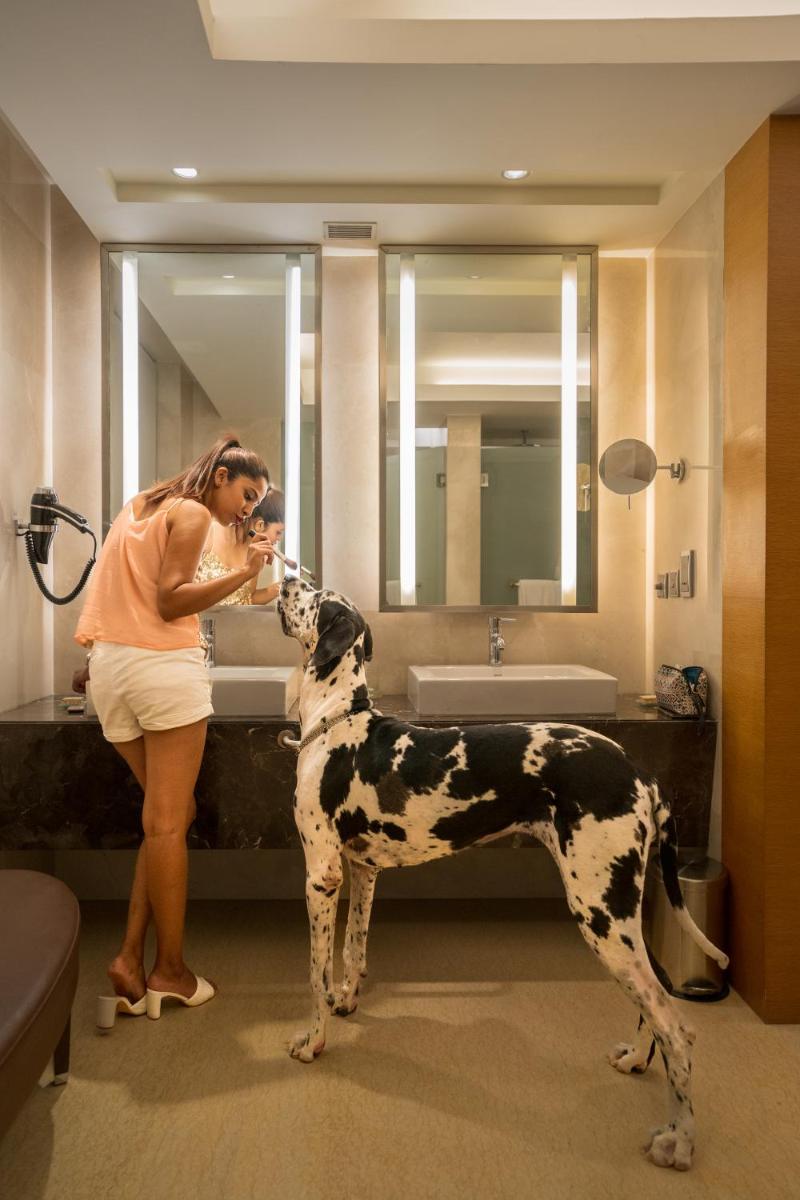 a woman brushing a dog in a bathroom at Hyatt Hyderabad Gachibowli in Hyderabad