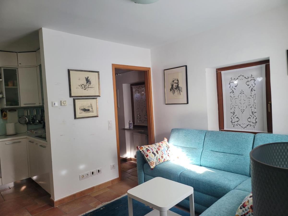 Apartma Modro gnezdo - Housity