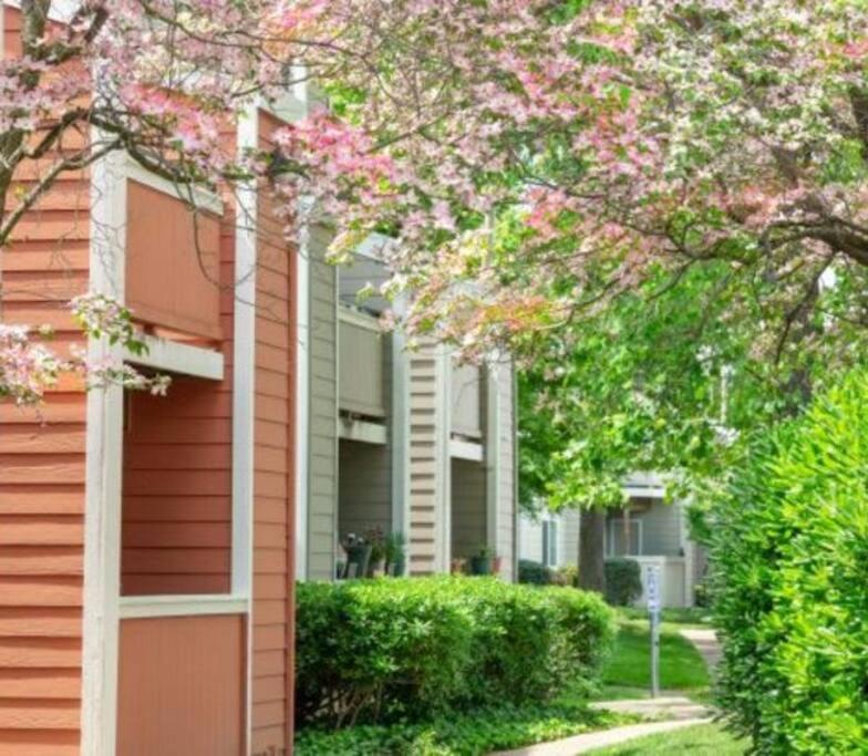 Holiday Special! Lovely 1 bedroom unit with pool - Housity