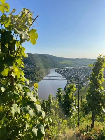 Ferienwohnung Paula - Housity