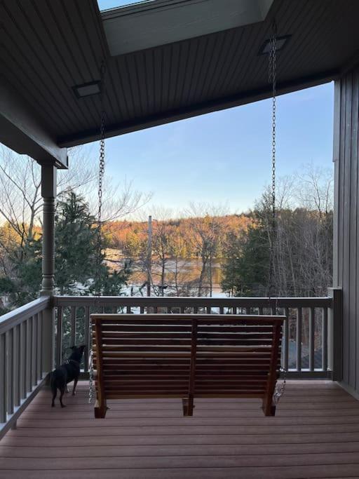 All Decked Out - Newly Renovated Lake House with Amazing Views and Direct Lake Access! - Housity