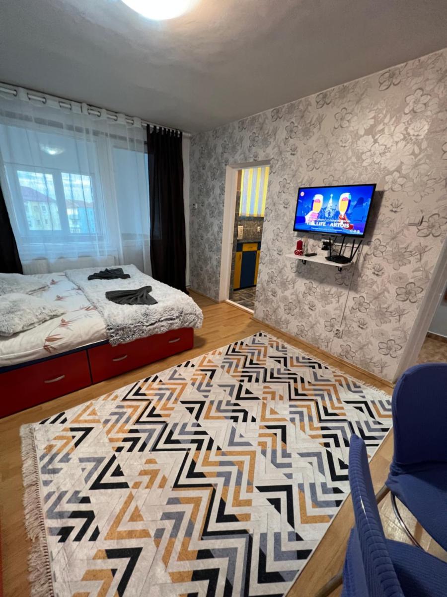 Comfy Condo Zalau - Housity
