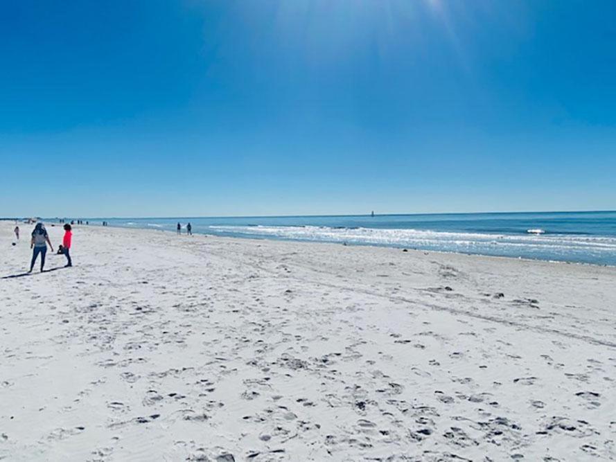 Redington Directly on the Beach Sea Rocket WiFi Parking 30 - Housity