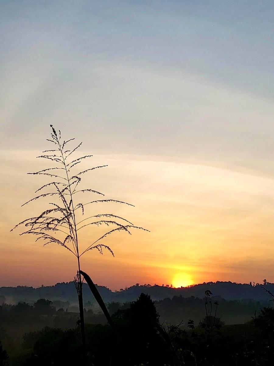 Suitetrails - Chaikho Home Khaokho - ชายค้อโฮม เขาค้อ