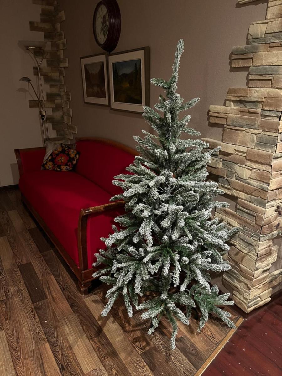 Cosy Appartment. Püssi town - Housity
