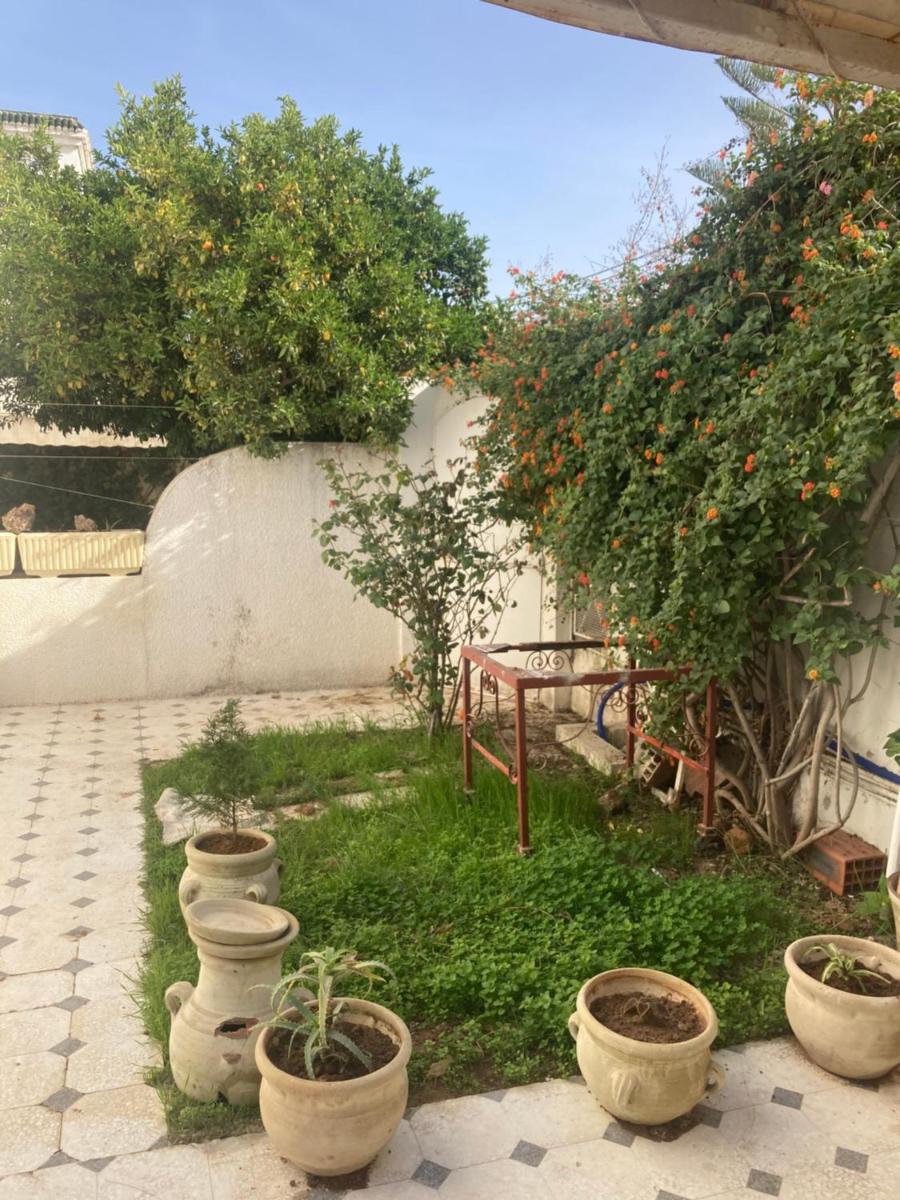 Studio Marsa - Housity
