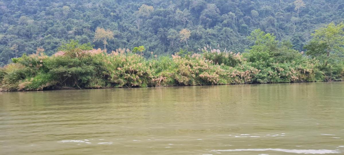 Ba Be Dragon house - Housity