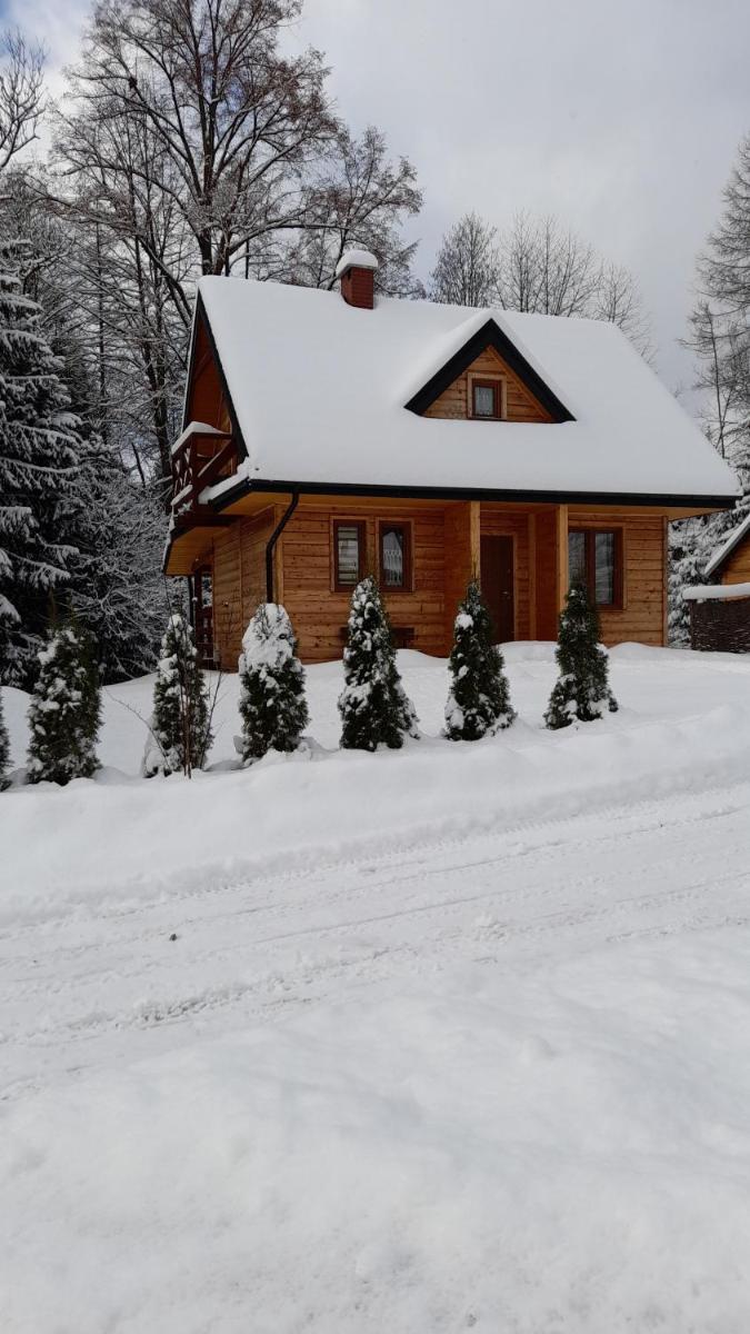 U Eskulapa Bieszczady - Housity