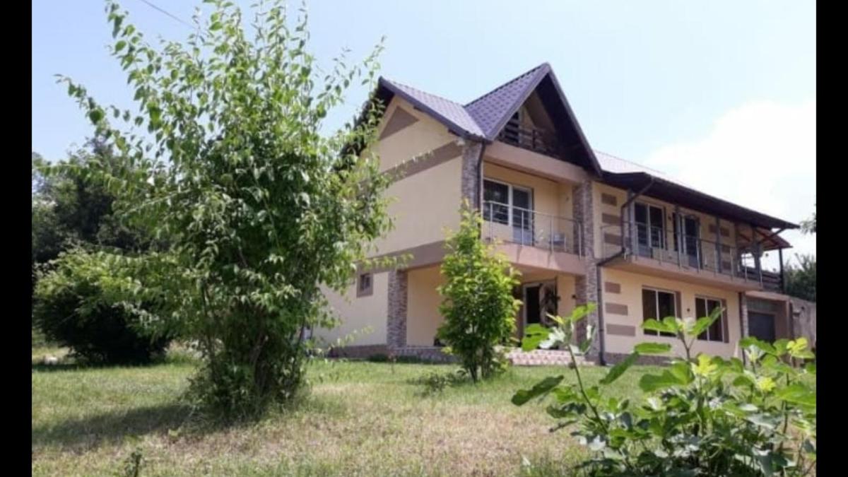 Vila Adrian Argeș - Housity