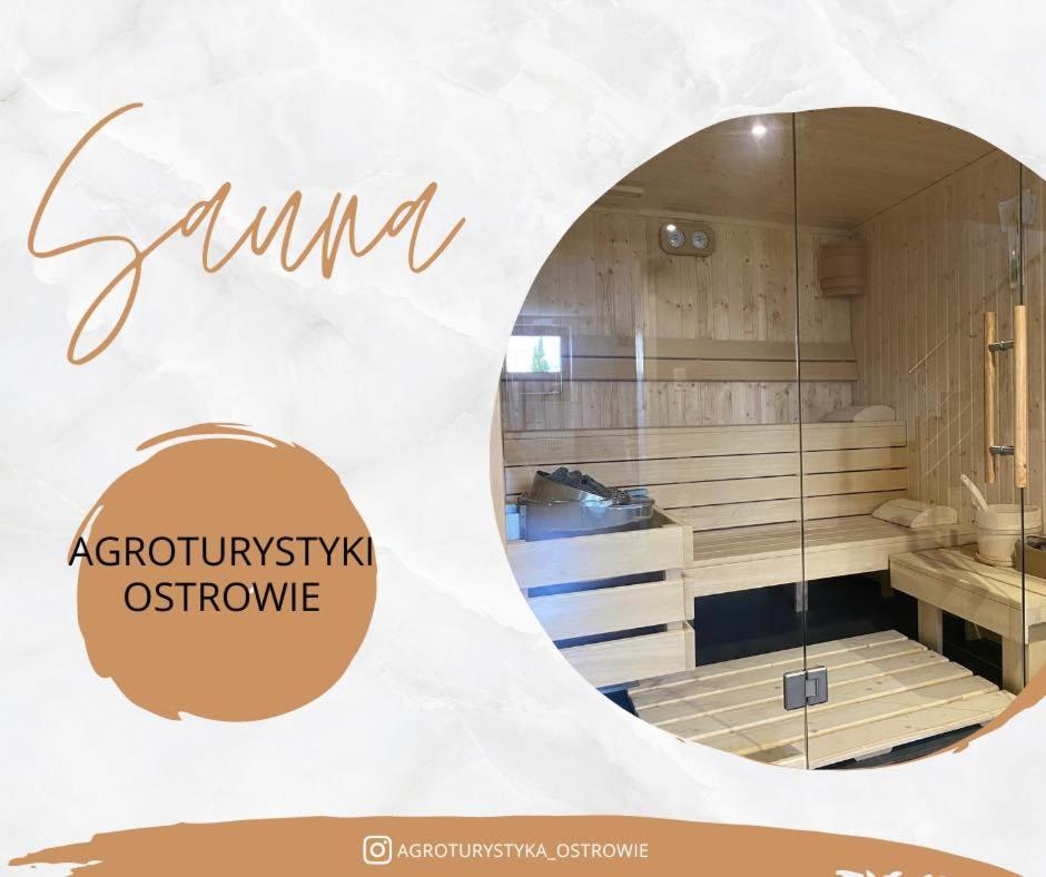 Agroturystyka Ostrowie - Housity