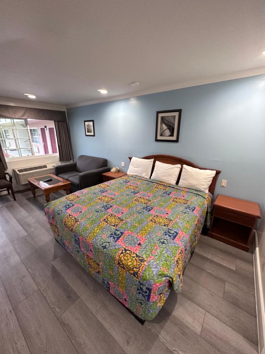 Willow Tree Lodge - Housity