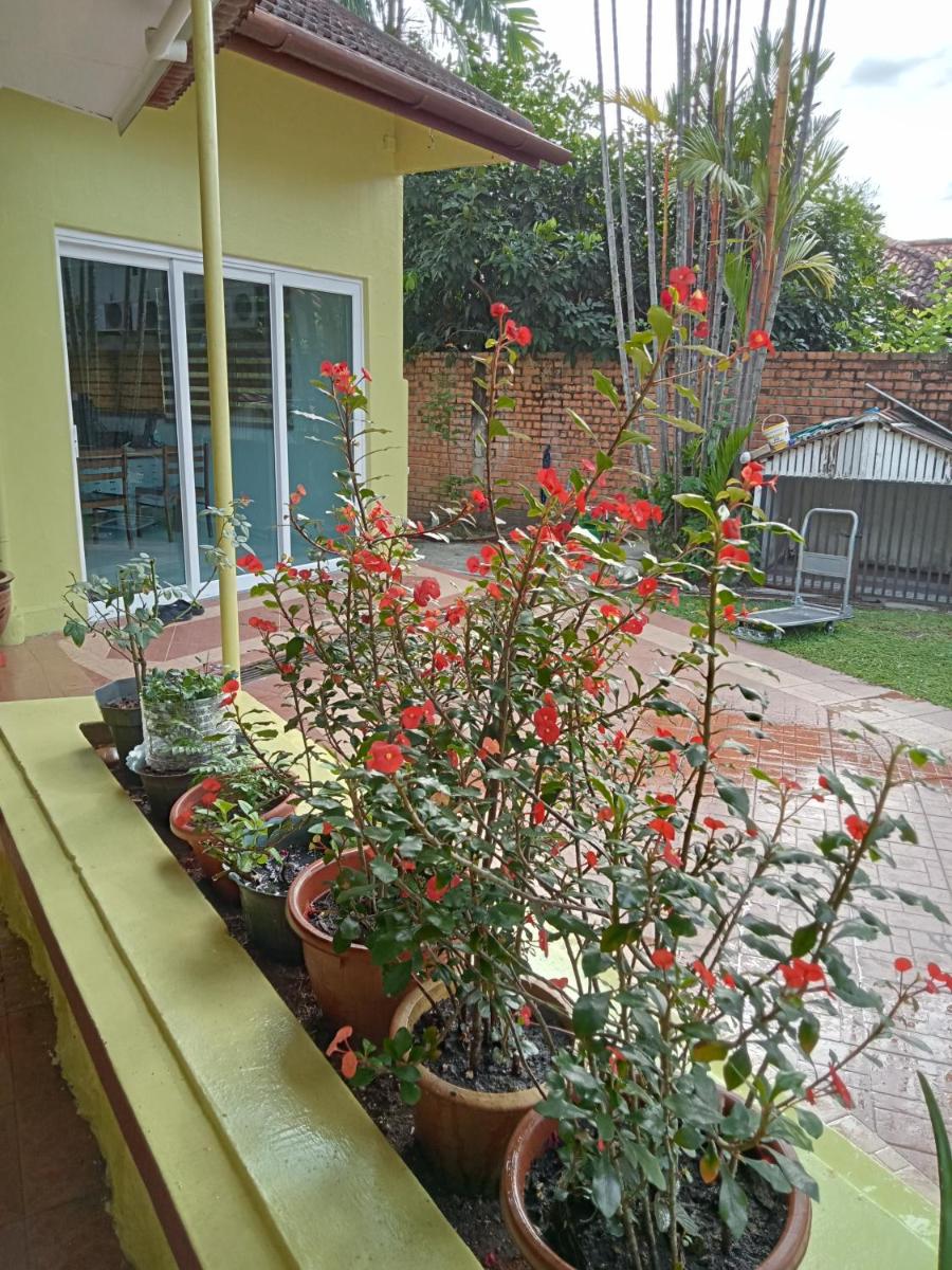 VM Rose Cottage - Hizvo