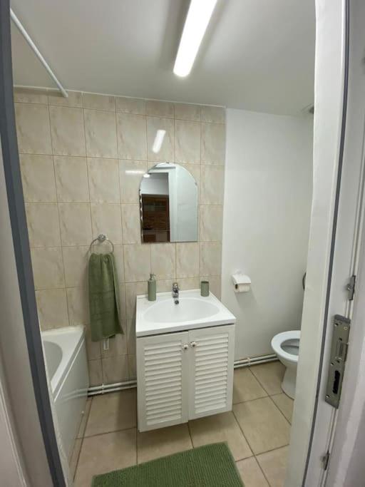 House Apartment in Timisoara - Housity