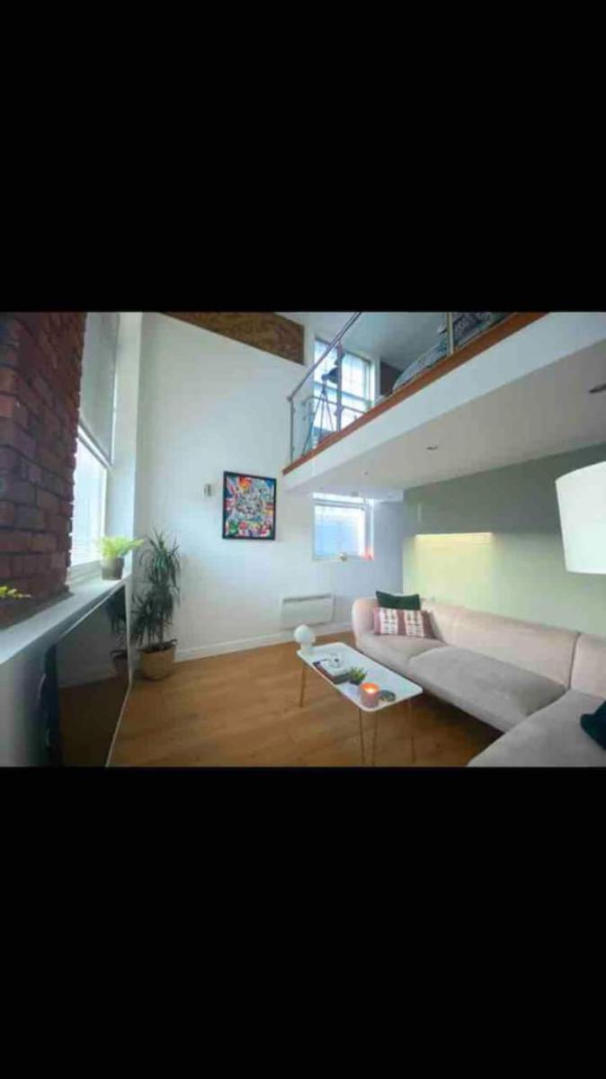 Lovely 1-Bedroom loft apartment - Housity