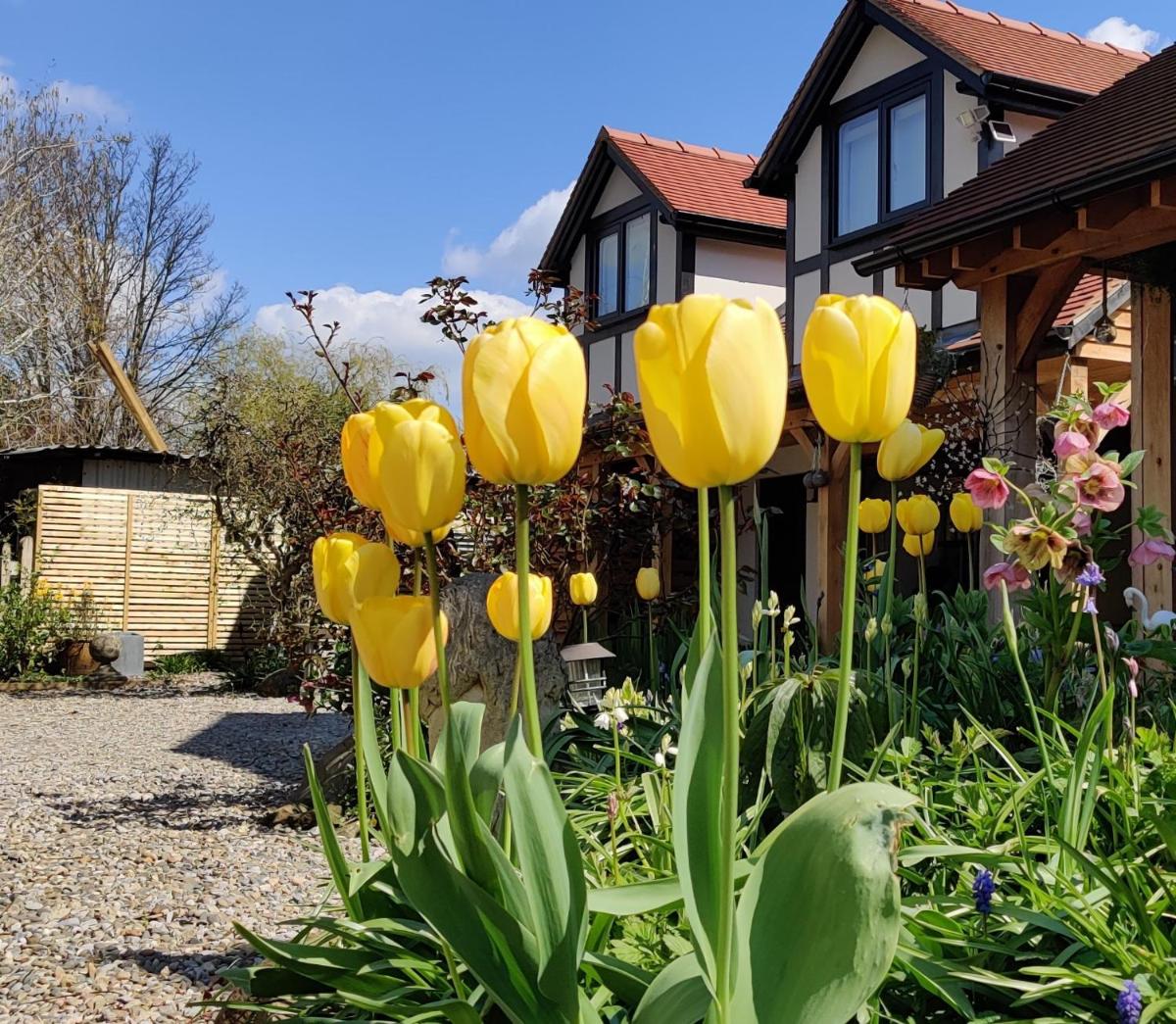 Delightful & Picturesque Modern Detached Apartment, Next to Chester Zoo, Near Park and Ride to City Centre - Housity