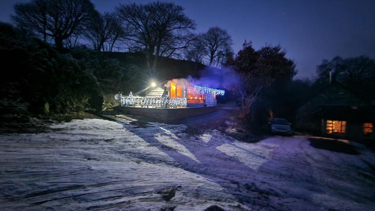 Luxury welsh wooden cabin, home of the red kites - Housity