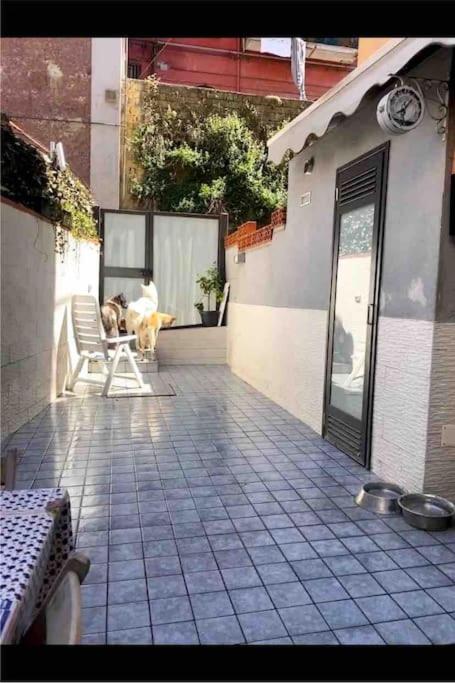 Napoli centro casa con due camere e cucina - Housity