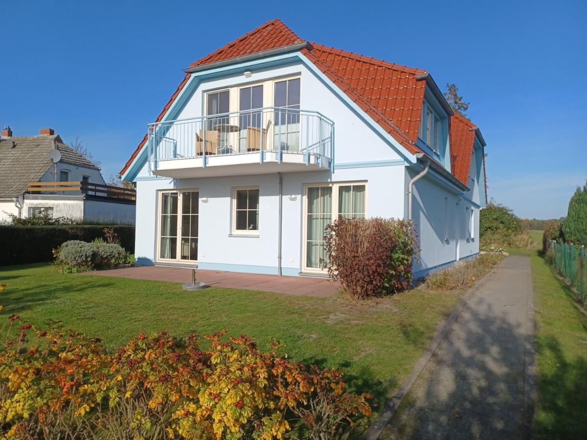 An den Boddenwiesen I - Hizvo