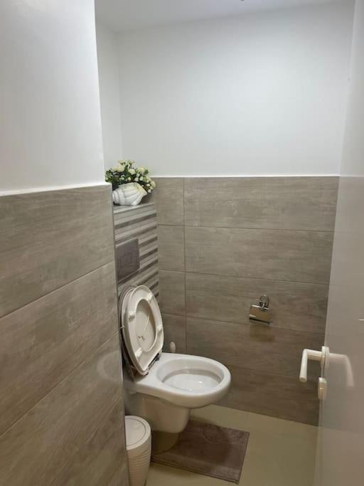 Best Apartment In Akko - Hizvo