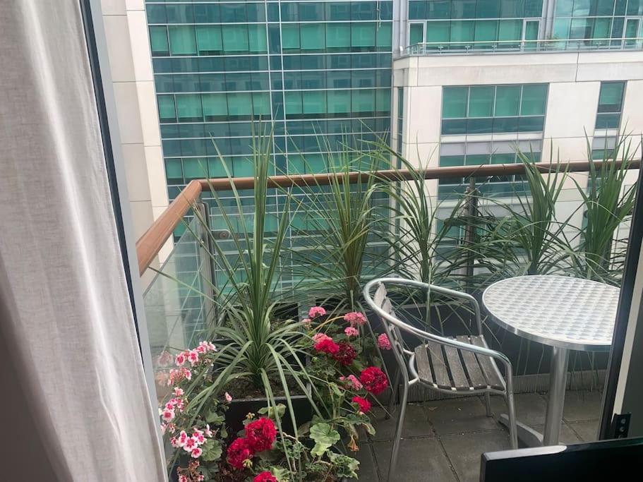 Lovely 2 bedroom flat near the river Thames - Housity