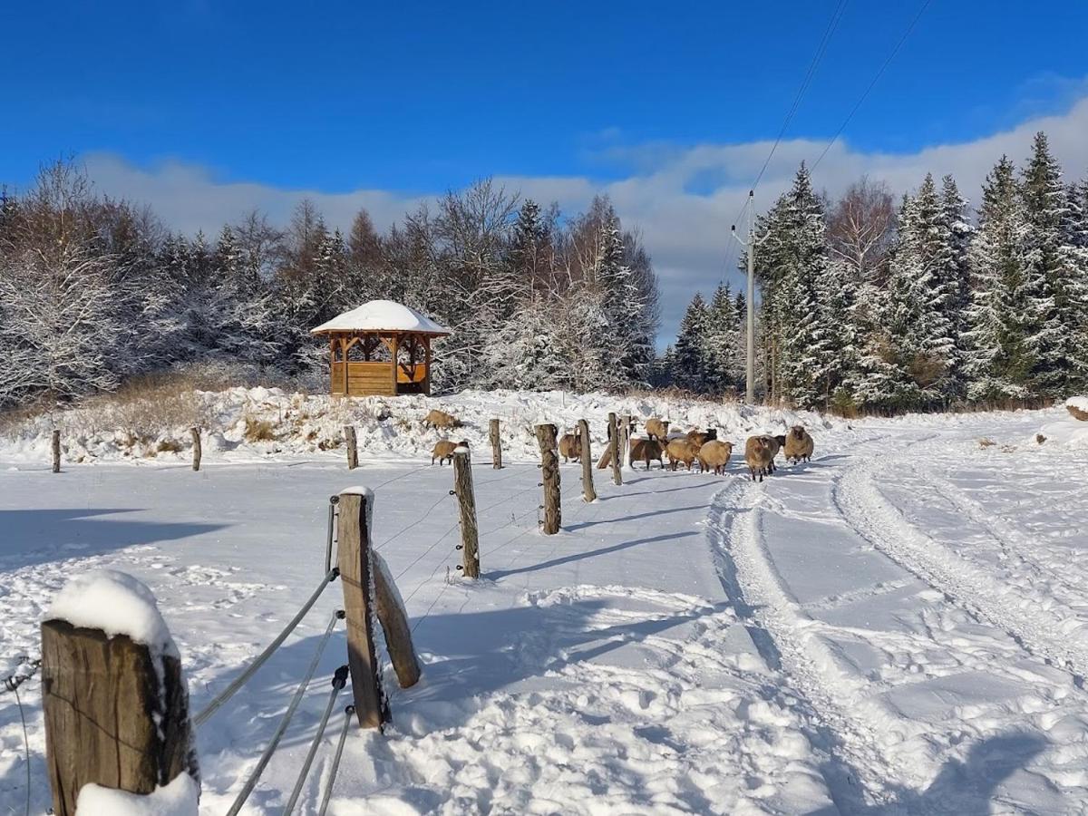 CHALET BORŮVKA - biofarma na samotě v lesích - Housity