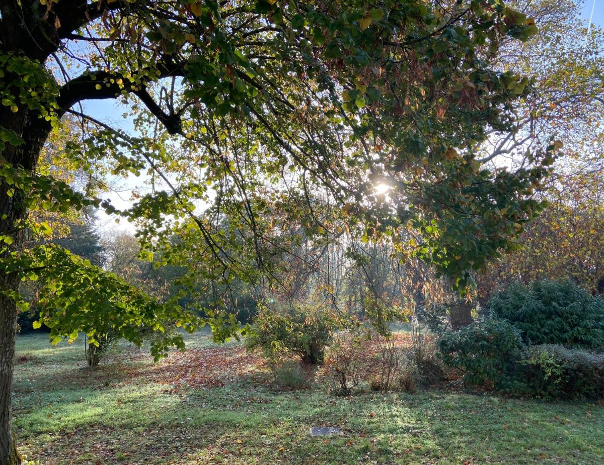 L’orée du bois des rois - Housity