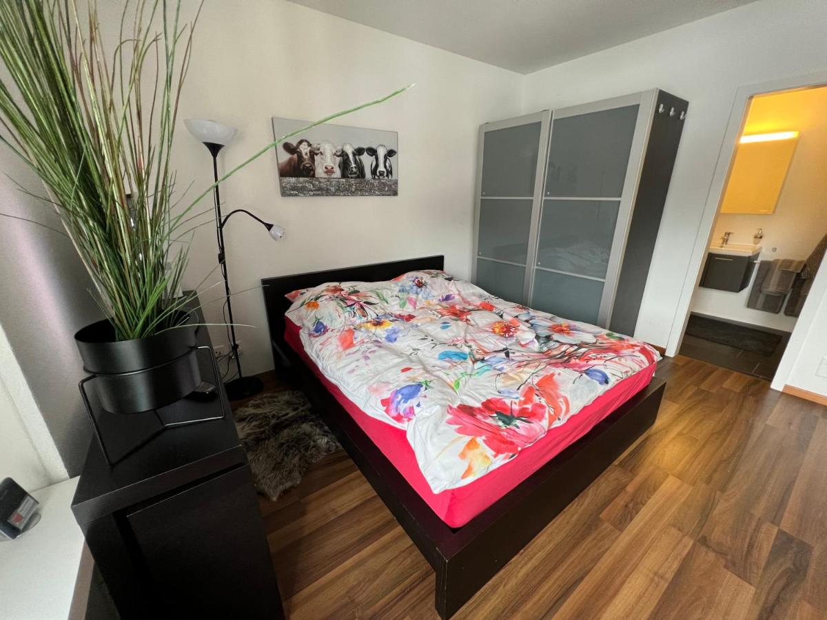 Studio Flims - Housity