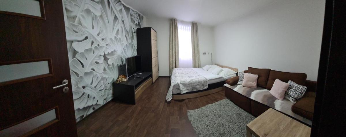 Olomouc - Housity