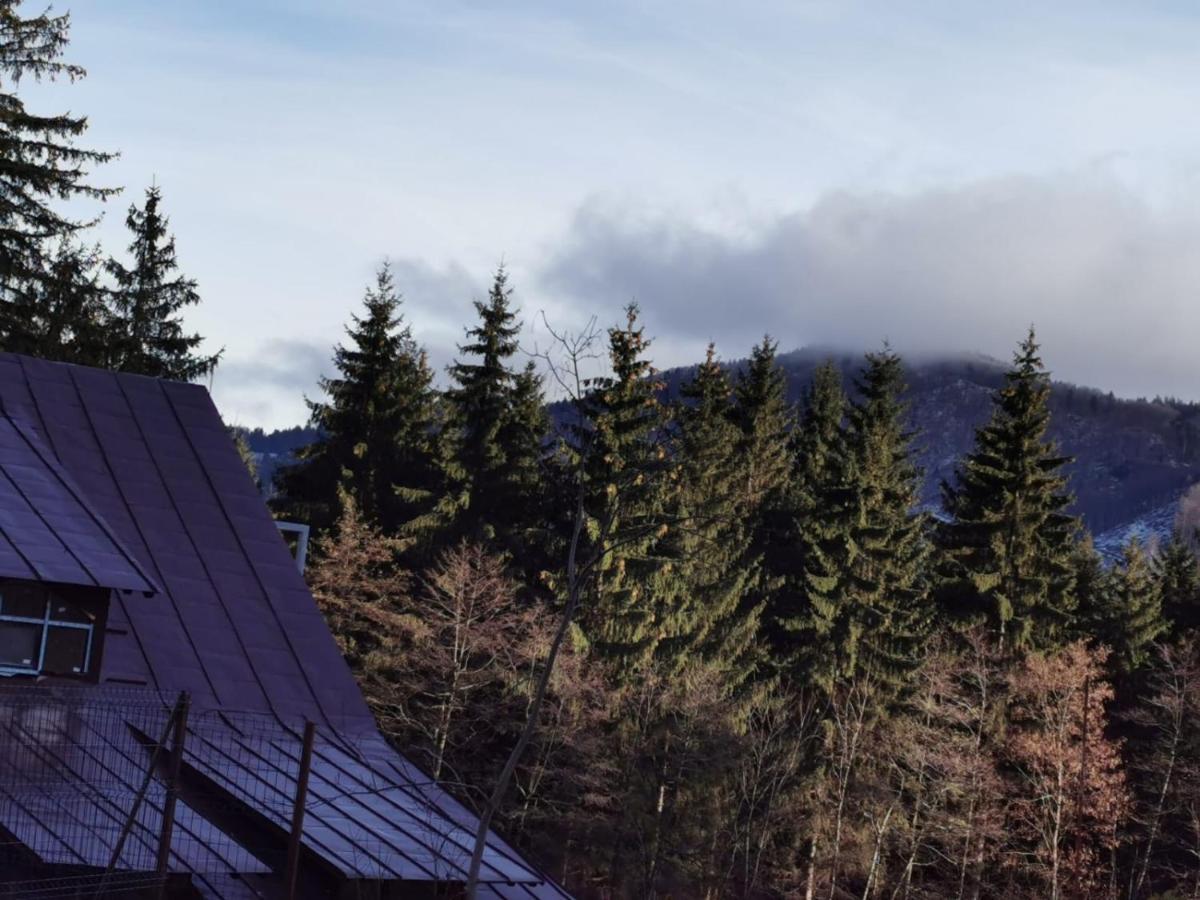 Hotel Rudo Forest View Predeal - Housity