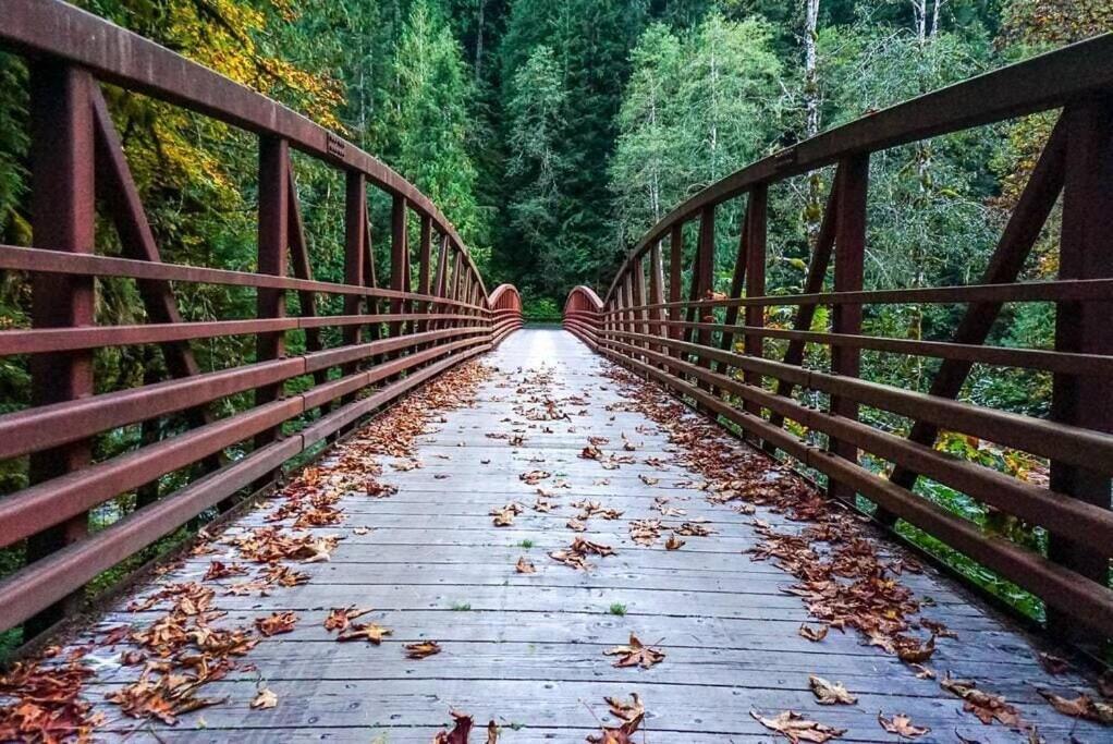 Rusty Bridge River Lodge - Housity
