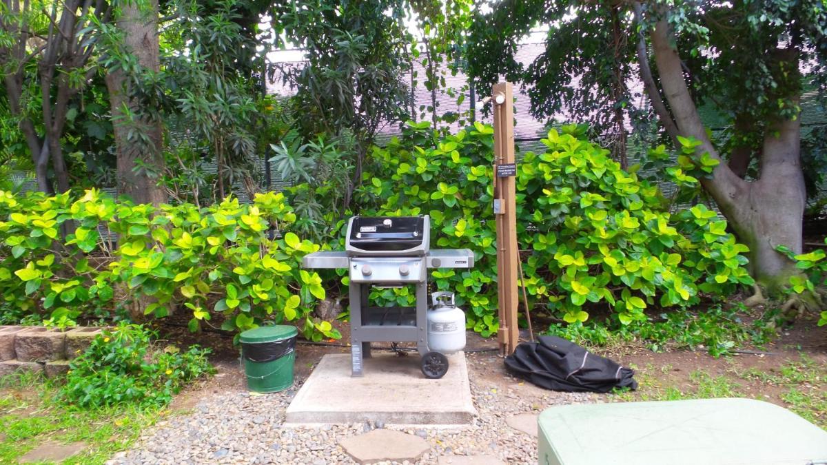 Suitetrails - Garden View Beach Walk A Safe Place To Stay