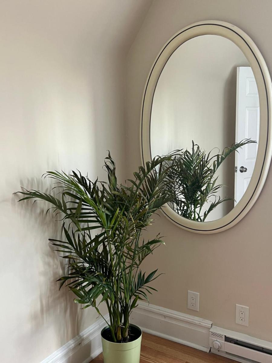 Spacious 1bed 1bath apartment - Housity