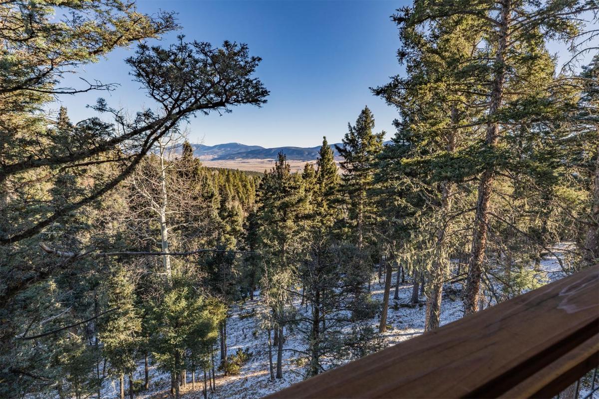 RidgeWalk Treehouse - Housity