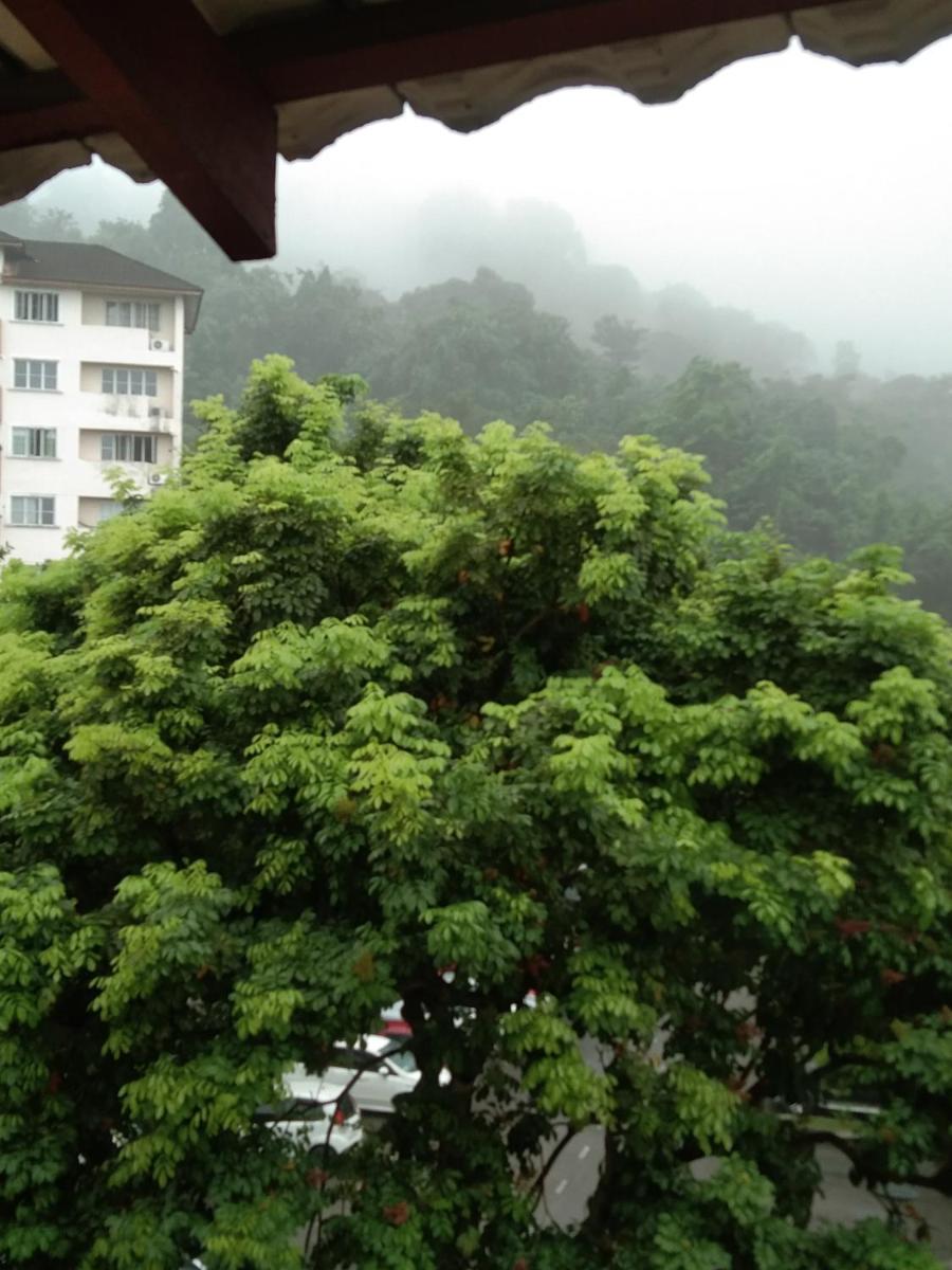 Honey Forest - Housity