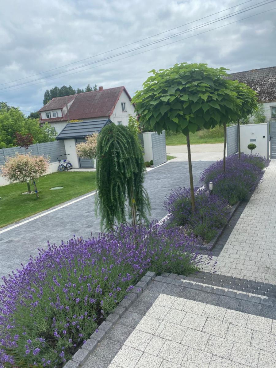 Sieburczynianka - Housity