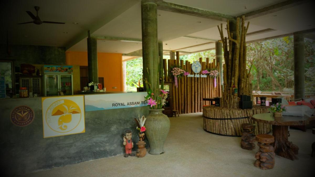 Forest falls Garden Maerim Chiangmai ตาดปลาแคมป์ออร์แกนิคฟาร์มสเตย์เชียงใหม่ - Housity