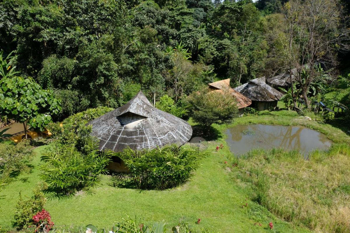 Forest falls Garden Maerim Chiangmai ตาดปลาแคมป์ออร์แกนิคฟาร์มสเตย์เชียงใหม่ - Housity